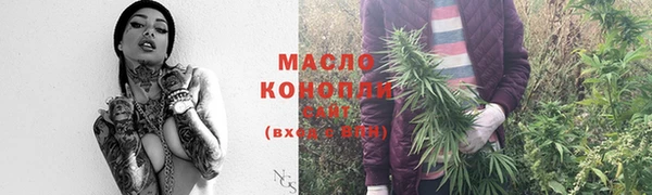 гидра Надым