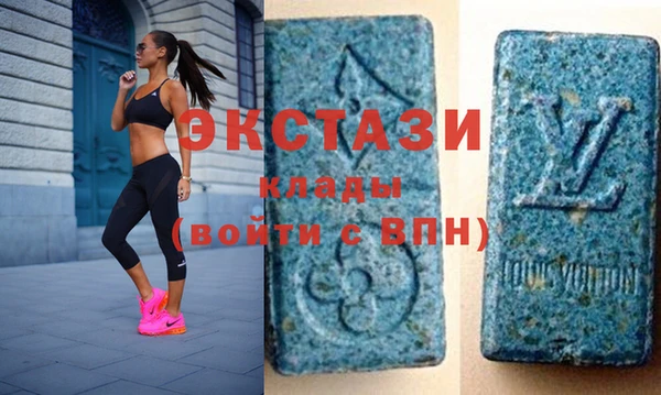 гидра Надым